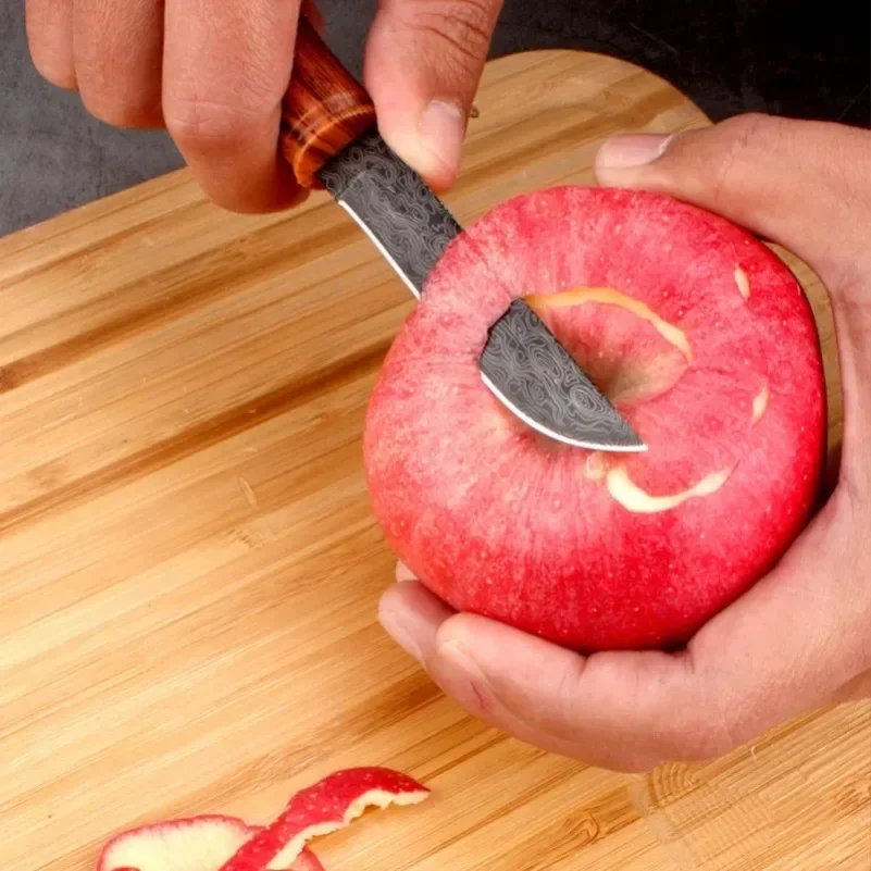 Utility Knife Slice Meat Fruit - Camping Cooking Multi Tool avis et prix