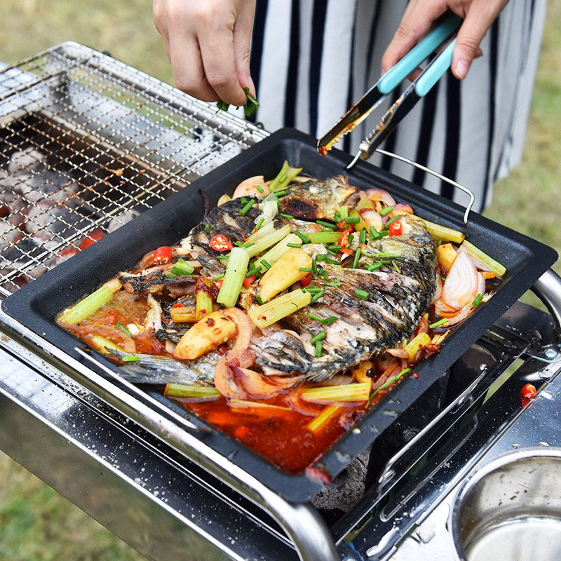 Outdoors Thick Square Grill Pa - Camping Cooking Handle avis et prix